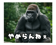 772846534