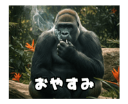 772846536