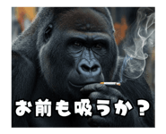 772846537