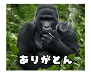 772846545