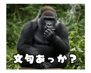 772846550