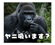 772846552