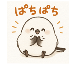 772846884