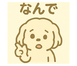 772852007