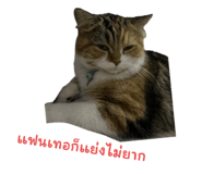 772861212