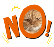 772865906