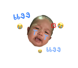 772868146