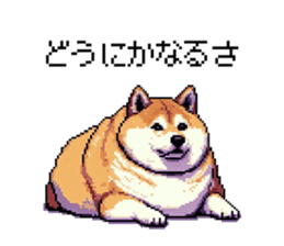 772877430