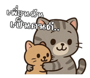772882564