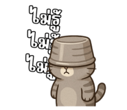 772882582