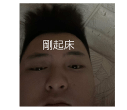 772885199