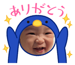 772886533