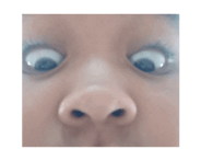 772890548