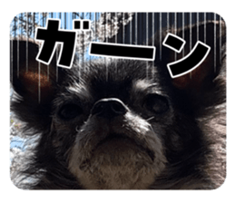 772892825