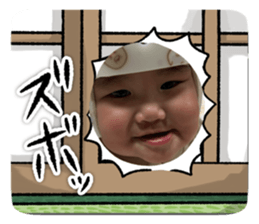 772893146