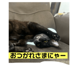 772895270
