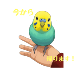 772895419