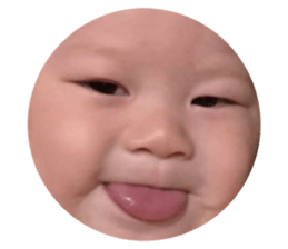 772896146