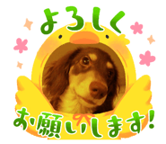 772896379