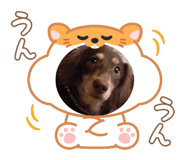 772896388