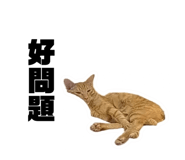 772896681