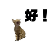 772896682