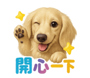 772913678
