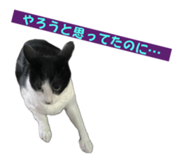 772914422