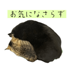 772914432