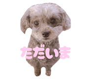 772914967