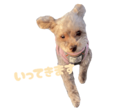 772914969