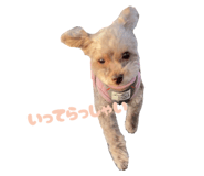 772914970