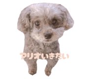 772914985