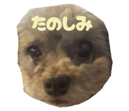 772914986