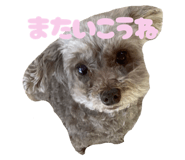 772914988