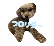 772914994