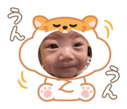 772915181