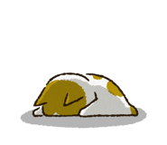 772919171