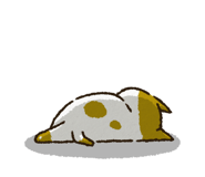 772919172
