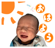 772930096