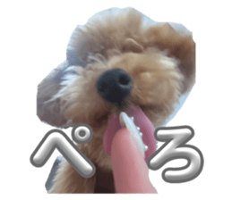 772930187