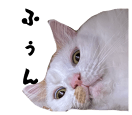 772948467