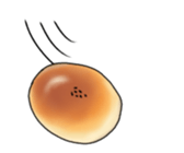77294909