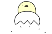 77294912
