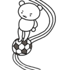 77294923
