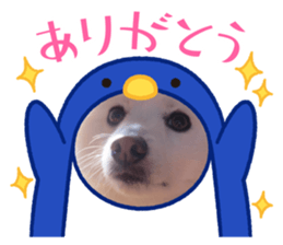 772949285