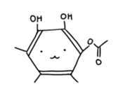 77294937
