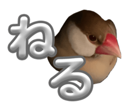 772956767