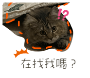 772957240