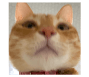 772957470